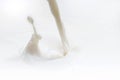 Pouring milk or liquid milk splash Royalty Free Stock Photo