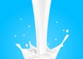 Pouring milk splashing on the floor with blue background Royalty Free Stock Photo