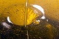 Pouring olive oil liquid Royalty Free Stock Photo