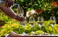 Pouring of Pinot gridgio rose wine for tasting on winery in Veneto, Italy. Glasses of cold dry wine served outdoor in sunny day