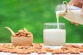 Pouring pure almond milk from glass bottle with almonds in a bowl on natural green background