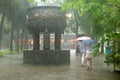 Pouring rain in a Buddhist monastery, Lantau