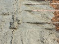 Pouring ready-mixed concrete after placing steel reinforcement to make the road Royalty Free Stock Photo