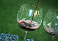 Pouring red wine in glass Royalty Free Stock Photo