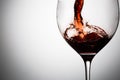 Pouring red wine into glass. Image on light gray background Royalty Free Stock Photo