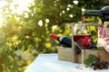 Pouring of red wine into glass on table in vineyard Royalty Free Stock Photo