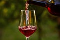 Pouring red wine into glass Royalty Free Stock Photo
