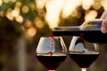 Pouring red wine Royalty Free Stock Photo