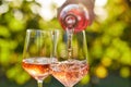 Pouring rose wine into glasses