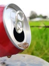 Pouring soft drinks in can on white background Royalty Free Stock Photo