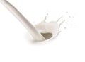 Pouring tasty fresh milk, closeup. Dairy product Royalty Free Stock Photo