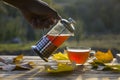 Pouring tea into a cup on the background of the sunset, with Royalty Free Stock Photo