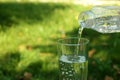 Pouring water from bottle into glass and green grass on background. Space for text Royalty Free Stock Photo