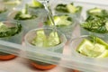 Pouring water into ice cube tray with lime slices and mint Royalty Free Stock Photo