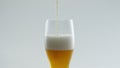 Pouring wheat beer glass at white background close up. Alcohol beverage flowing.