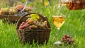 Pouring white wine from a bottle into glass on wooden table with green grapes Royalty Free Stock Photo