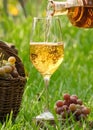 Pouring white wine from a bottle into glass on wooden table with green grapes Royalty Free Stock Photo