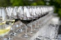 POURING WINE at bars resturant and weddings. also other social events