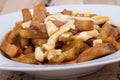 Poutine quebec meal with french fries Royalty Free Stock Photo