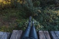 POV photo of a woman`s legs on a bridge of the train tracks in the middle of a forest at sunset Royalty Free Stock Photo