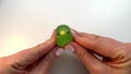 POV playing with squishy toy. Anti-stress green slime ball against white background. Eases stress. Squash funny