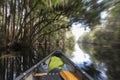 POV shot of bow of a canoe moving through forest canopy in the Okefenokee swamp, long exposure with motion blur Royalty Free Stock Photo