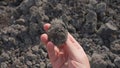 POV view male hand taking piece of rock covered with moss and curiously examining it. Geology studies outdoors