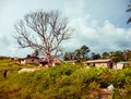 Poverty and unsanitary conditions in Africa. Liberia, West Africa Royalty Free Stock Photo