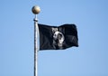 POW MIA Flag