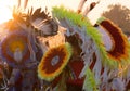 Pow Wow Headdresses Royalty Free Stock Photo