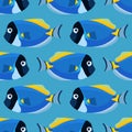 Powder blue tang fish seamless pattern. Acanthurus surgeon fish