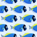 Powder blue tang fish seamless pattern. Acanthurus surgeon fish