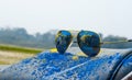 Powder blue and yellow color on a sun glass during holi festival Royalty Free Stock Photo
