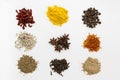 Powder condiments for cooking Photo