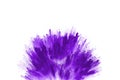 Purple color powder explosion on white background.