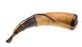 Powder horn isolated Royalty Free Stock Photo
