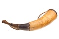 Powder horn isolated Royalty Free Stock Photo