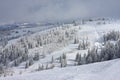 Powder Mountain, Utah Royalty Free Stock Photo