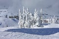 Powder Mountain, Utah Royalty Free Stock Photo