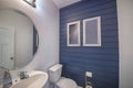 Powder room interior with blue wooden planks front wall and frames