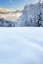 Powder snow in Vorarlberg Austria Royalty Free Stock Photo