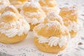 Powdered Cream Puffs