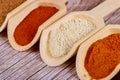 Powdered paprika, garlic in wooden scoops on wooden background. Close up