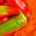 Powdered spices and red and green peppers Royalty Free Stock Photo