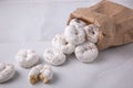 Powdered sugar mini donuts from a bag- carnival or summer fair food