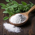 Powdered sugar in a wooden spoon, with fresh stevia leaves, on a wooden background