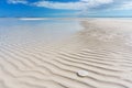 Sandbar and Sand Dollar, Ripples and Textured Sand Royalty Free Stock Photo