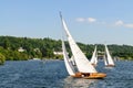 Boat Race Windermere Lake District