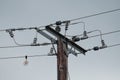 High voltage electrical power cables and insulators seen on wooden poles. Royalty Free Stock Photo