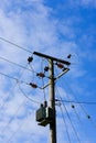 High voltage electrical power cables and transformer seen erected on a wooden pole. Royalty Free Stock Photo